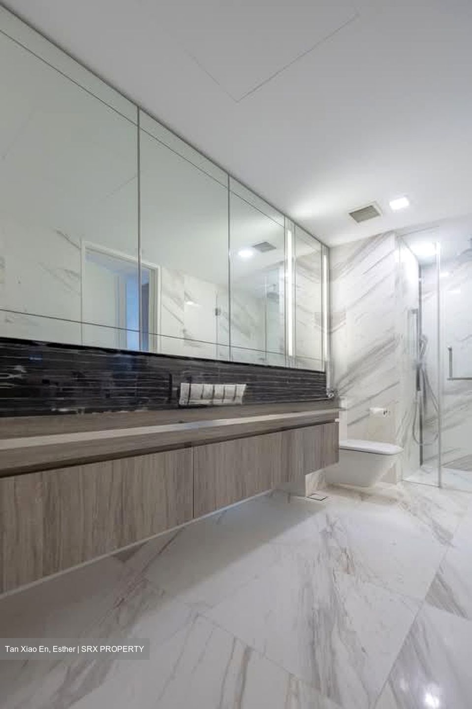 Wallich Residence  (D2), Condominium #586154291